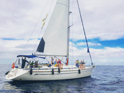 Big Smile Luxury Yacht Whale Watching Boat Trip - 3 Hours Big Smile Luxury Yacht Whale Watching Boat Trip - 3 Hours