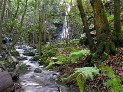 La Gomera Light Hiking Tour from Tenerife La Gomera Light Hiking Tour from Tenerife
