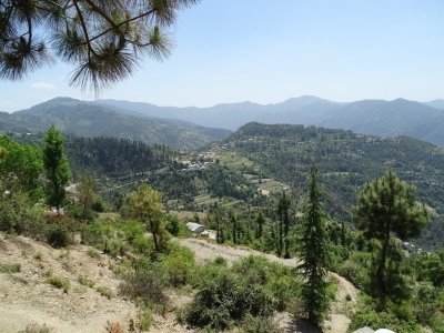 The Hill Stations of North India & Golden Temple Tour