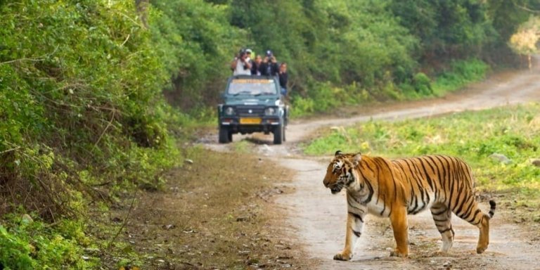 Delhi to Corbett Tiger Reserve