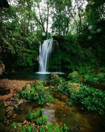 Delhi to Corbett Tiger Reserve