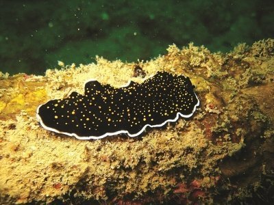 Andaman & Nicobar Islands Beach Paradise