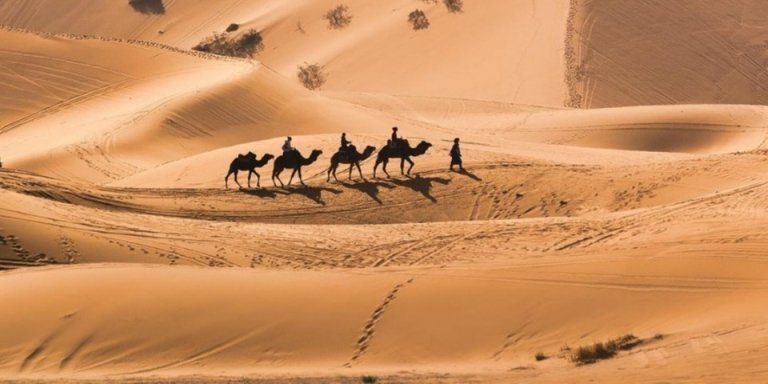 5 Days Sahara Desert Tour from Casablanca To Marrakech Via Fes