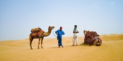 Multi-Day Tours & Cruises