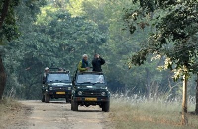 Incredible Wildlife Safari in Heart of Central India