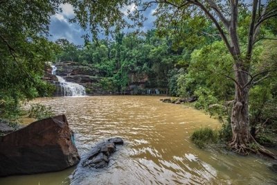 Tiger Safari & Marvelous Monuments of India