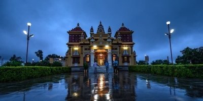 Incredible Wildlife Safari