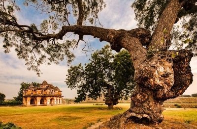 Hyderabad, Bijapur, Badami & Hampi Tour