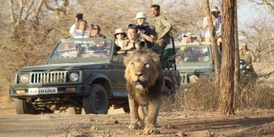 Temples & Wildlife Tour of Gujarat