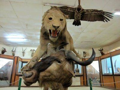 The Grand Kisumu Excursion