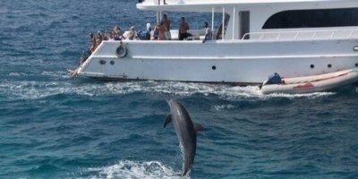 Shore Excursions
