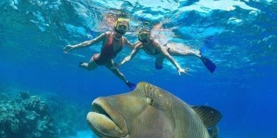 Multi-Day Tours & Cruises