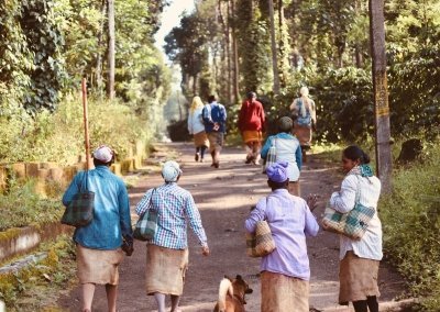 Coorg Tour from Bangalore Coorg Tour from Bangalore