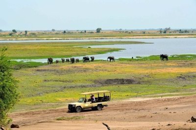 Chobe Day Trip From Victoria Falls Chobe Day Trip From Victoria Falls