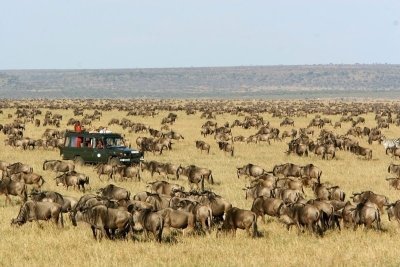 3 days 2 Nights Masai Mara Superior Lodge Experience