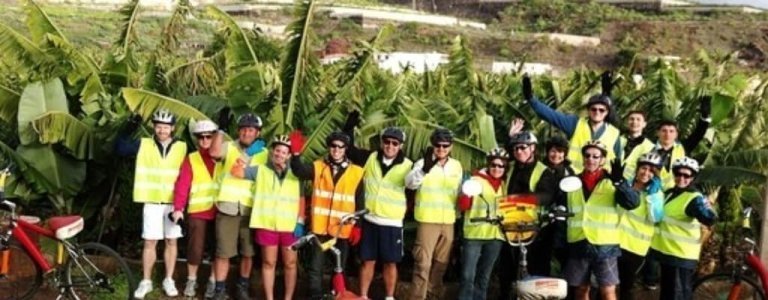 Teide Downhill Bike Tour in Tenerife