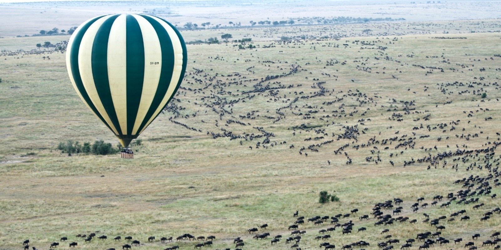 4 Days Tanzania Serengeti Migration