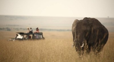 8 Days Luxury Tanzania Safari Tour Package 8 Days Luxury Tanzania Safari Tour Package