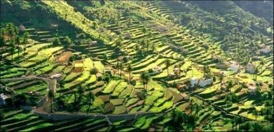 La Gomera Tour by bus & ferry from Tenerife North La Gomera Tour by bus & ferry from Tenerife North