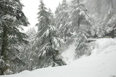 Narkanda Naldehra Mashobra Shimla From Delhi