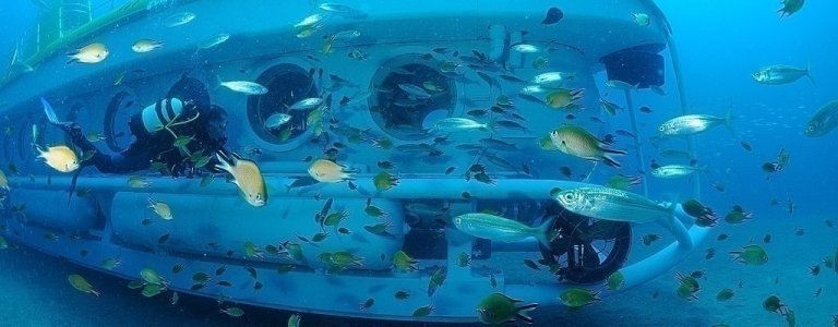 Submarine Tenerife - Underwater Safari from Tenerife South