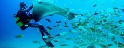 Boat Trips & Charters