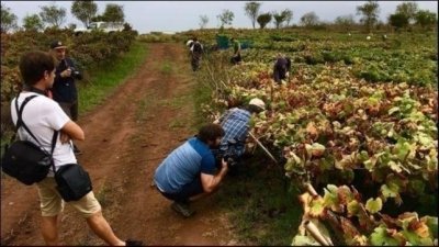 Wine Tasting Tenerife & Winery Tour Wine Tasting Tenerife & Winery Tour