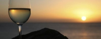 Wine, Food Tours & Tasting