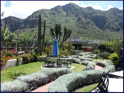 Private Wine Tour in Tenerife Private Wine Tour in Tenerife