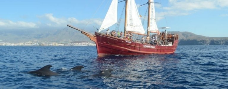 Pirate boat trip in Tenerife - 2h