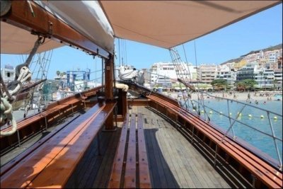 Whale Watching trip by Pirate Ship in Tenerife - 2h Whale Watching trip by Pirate Ship in Tenerife - 2h