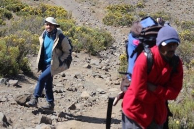 Marangu Route – 6 days Kilimanjaro Hiking trip