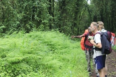 6 Days Kilimanjaro Climbing Via Machame route the whisky route