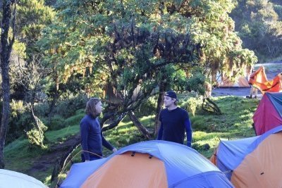 (7 Days Kilimanjaro Climbing Via Machame route the whisky route)