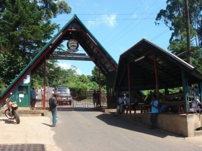 Superb 5 days Kilimanjaro climbing via Marangu the Magnificent Route
