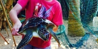 Sightseeing Day-Tours