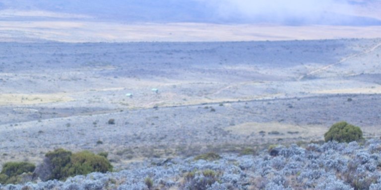 6 Days Kilimanjaro Marangu Route - climbing up to uhuru peak