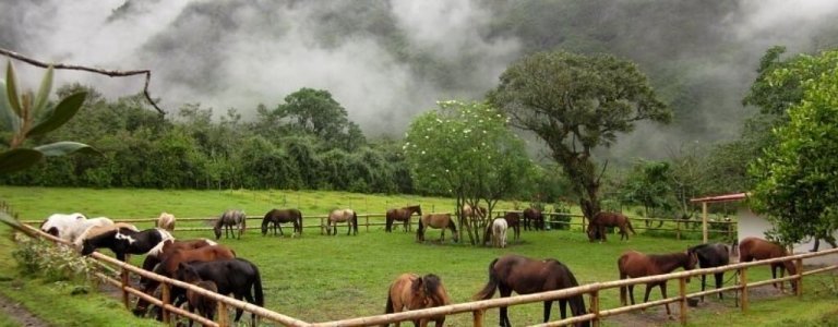 Pululahua Natural Reserve Horse Riding Tour - 4 days