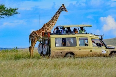 7 days Kenya  Big five safari