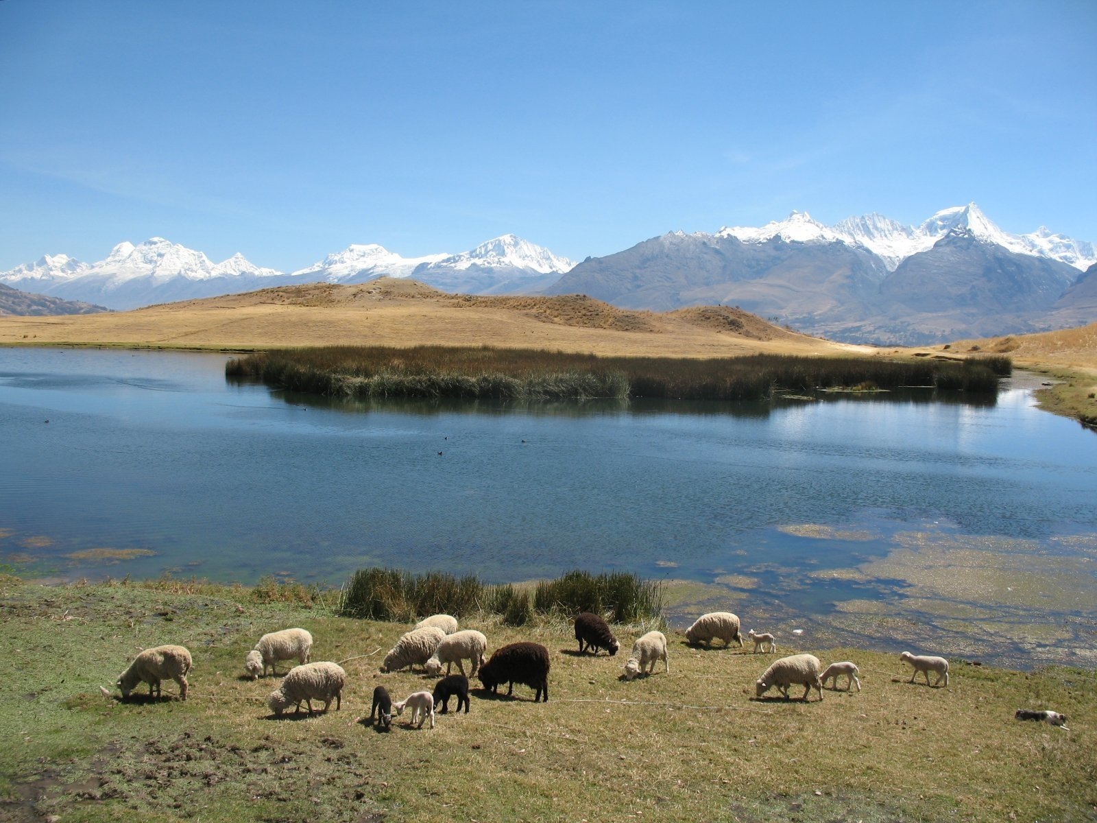 Lake Tauca - Wikipedia