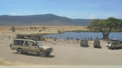 3 Days Tanzania Big 5 Luxury Lodge Safari.