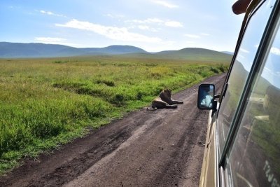 3 Days Tanzania Mid-Range Tanzania Mikumi unforgettable Royal tour