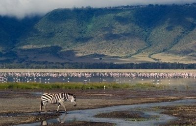 Tanzania Private Luxury Tanzania Big 5 2 Days Tanzania Royal Tour Tanzania Private Luxury Tanzania Big 5 2 Days Tanzania Royal Tour