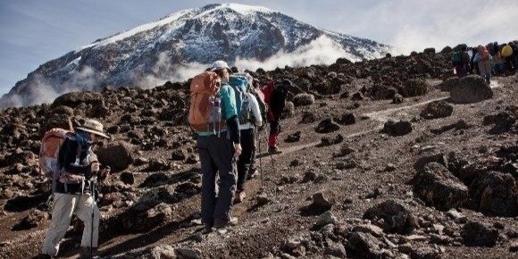 Umbwe Route | 6 days Kilimanjaro Trekking best Royal Tour