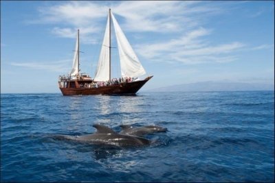 Private Charter of Shogun oriental sailing boat in Tenerife Private Charter of Shogun oriental sailing boat in Tenerife