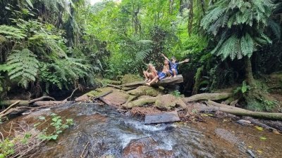 Mt Kenya Castle Forest Hike