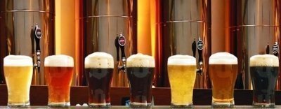 Wine, Food Tours & Tasting