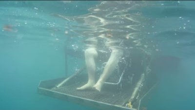 Wheelchair Accessible Boat in Trip Tenerife - Watch Whales & Swim Wheelchair Accessible Boat in Trip Tenerife - Watch Whales & Swim