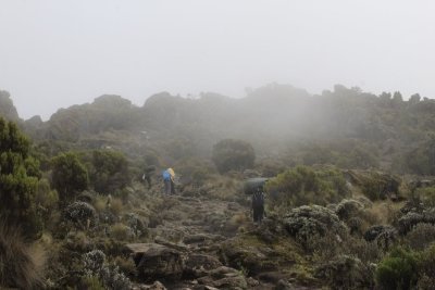 Days Kilimanjaro Honeymoon Trekking via Marangu Route