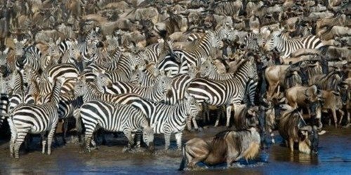 9 days  safari tours in Northern Tanzania